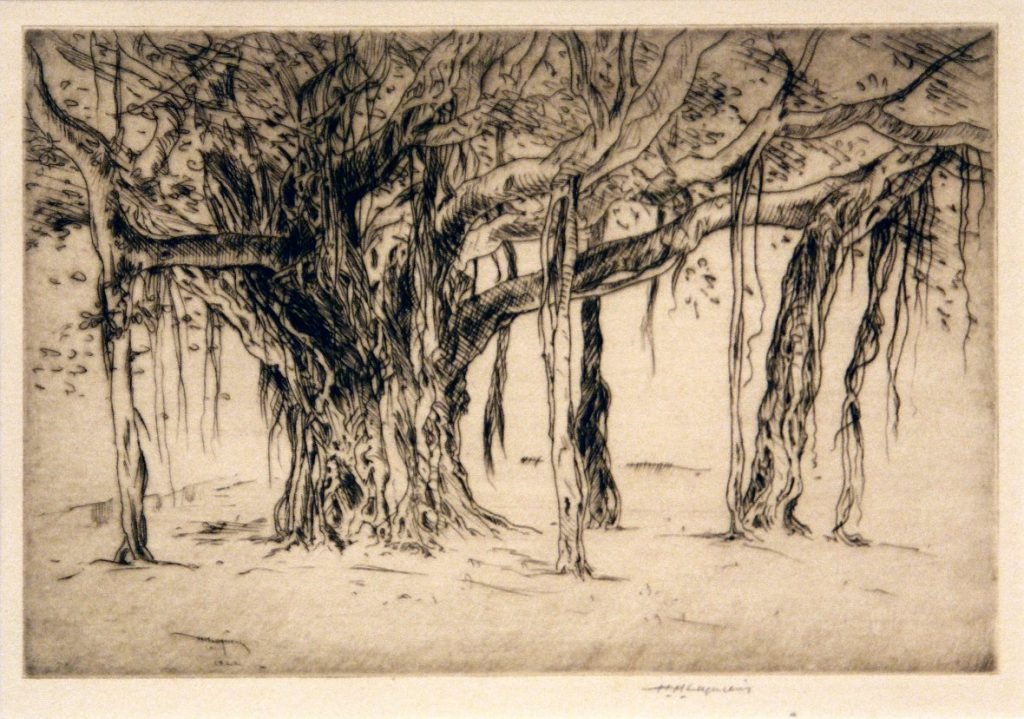 Photo of Huc-Mazelet Luquiens