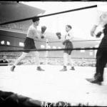 Photo of Sammy Mandell