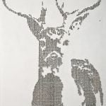 Photo of Walton Creel