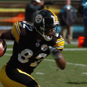 Photo of Antwaan Randle El