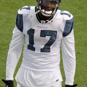 Photo of Mike Williams (wide receiver, born 1984)