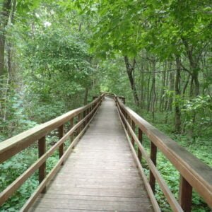 Photo of Charles E. Burchfield