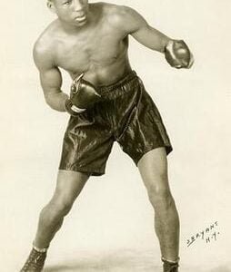 Photo of Gorilla Jones