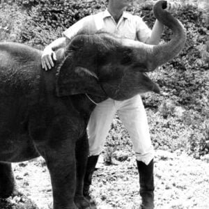 Photo of Bill Burrud