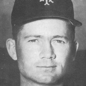 Photo of Davey Williams