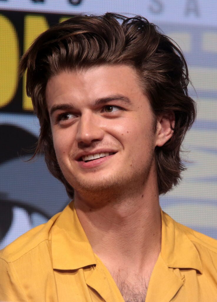 Photo of Joe Keery