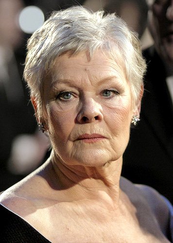 Photo of Judi Dench