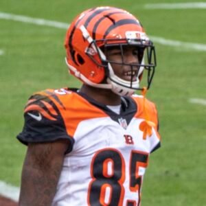 Photo of Tee Higgins