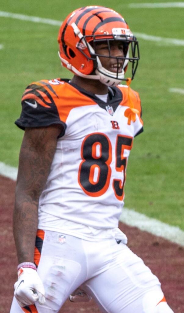Photo of Tee Higgins