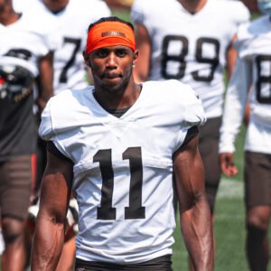 Photo of Donovan Peoples-Jones